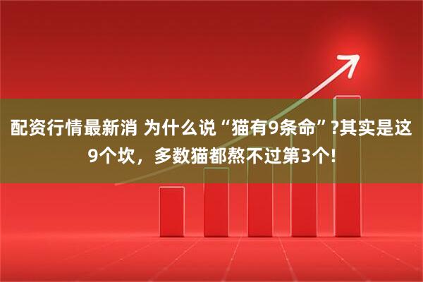 配资行情最新消 为什么说“猫有9条命”?其实是这9个坎，多数猫都熬不过第3个!