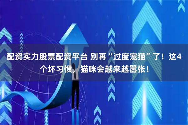 配资实力股票配资平台 别再“过度宠猫”了！这4个坏习惯，猫咪会越来越嚣张！